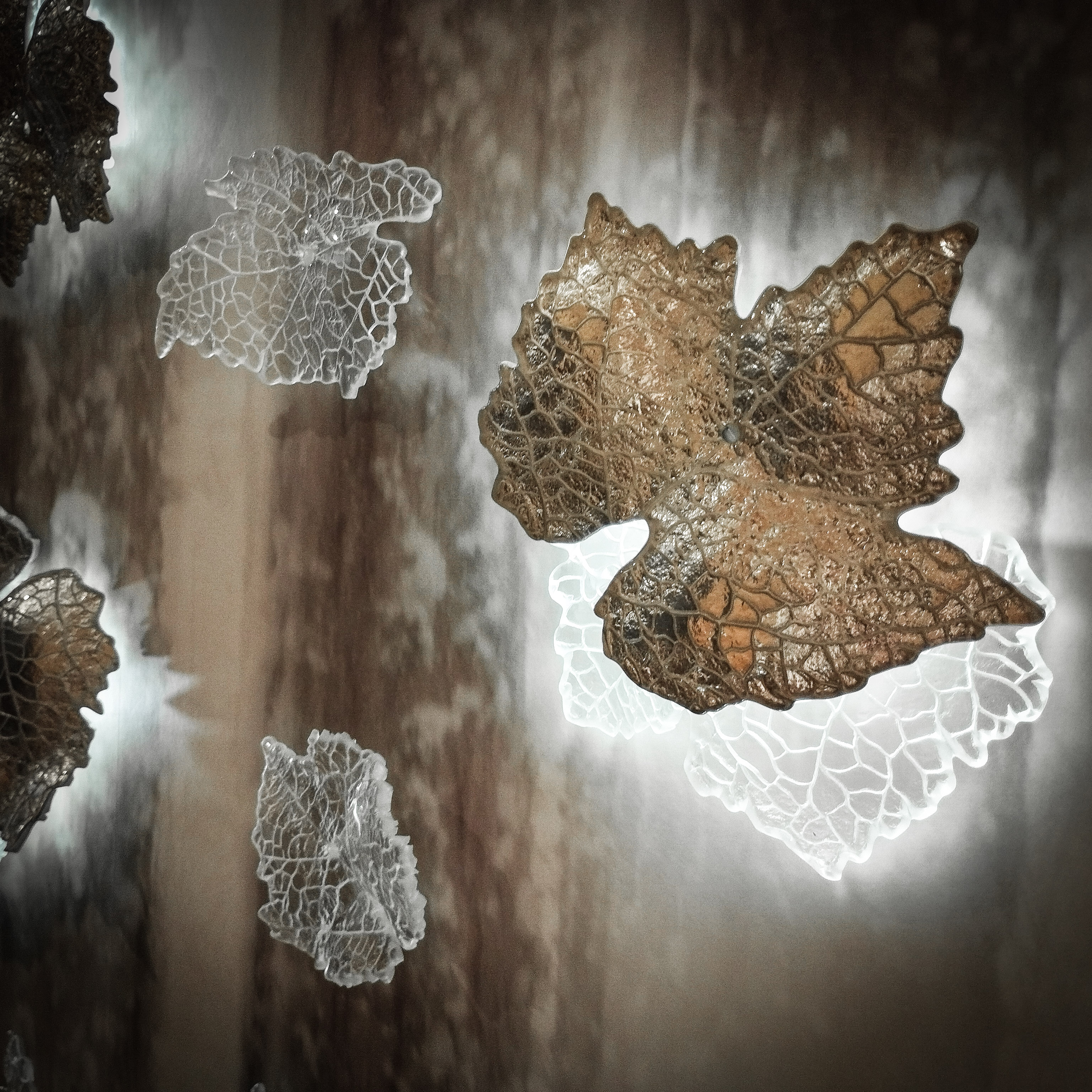Winter Fall - Image 4